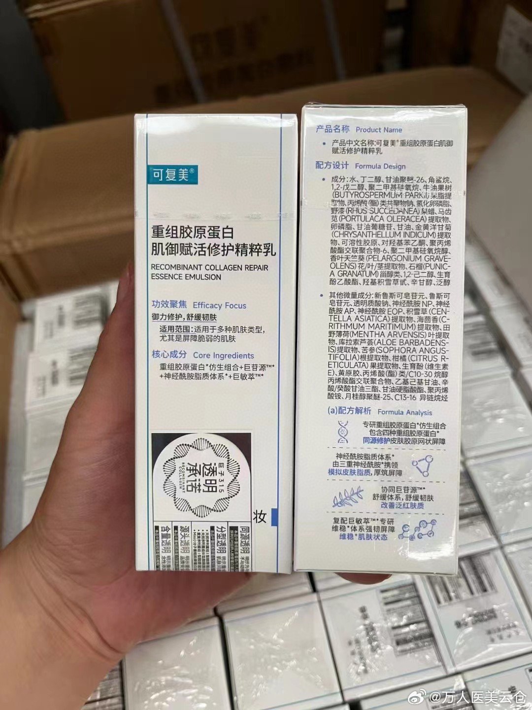 第4606页