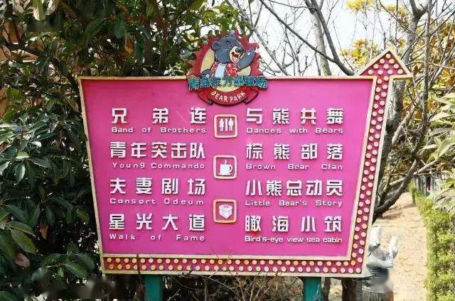 新奥门全年免费料,现状说明解析_领航款39.84.63
