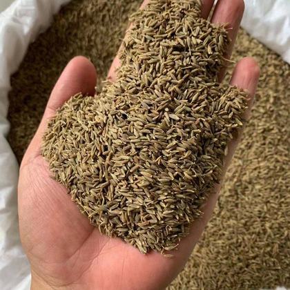 孜然最新价格及快速响应执行策略_实时更新资讯_3DM9最新报价