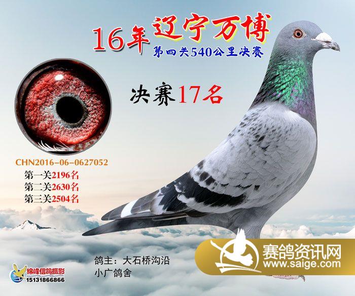 万博公棚最新公告