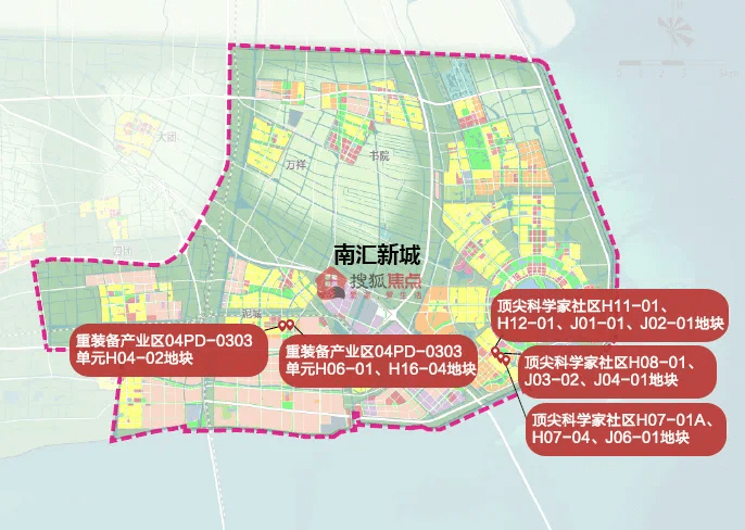 2023金线莲最新售价及指南