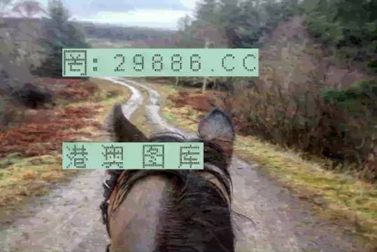 移动 第91页