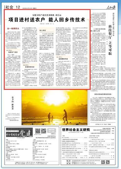 澳门三肖三码精准100%黄大仙,社会责任法案实施_传递版51.968