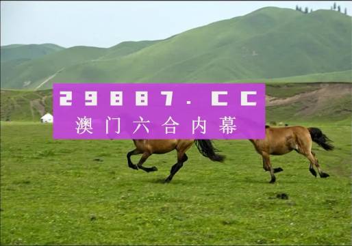 澳门天天彩期期精准龙门客栈,精细化实施分析_便携版51.423