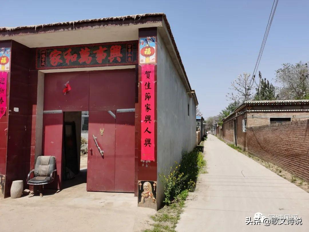 谷子最新行情走势分析，小巷深处的风味背后的价格秘密