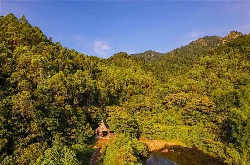 四梨同城最新动态，自然美景探索之旅，追寻内心平和与喜悦